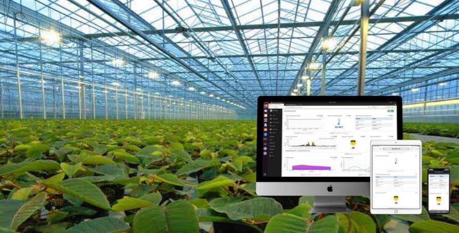 Ready to Deploy Solution: Seeed’s SenseCAP and Machinechat’s JEDI One Together Optimizes Greenhouse Operations