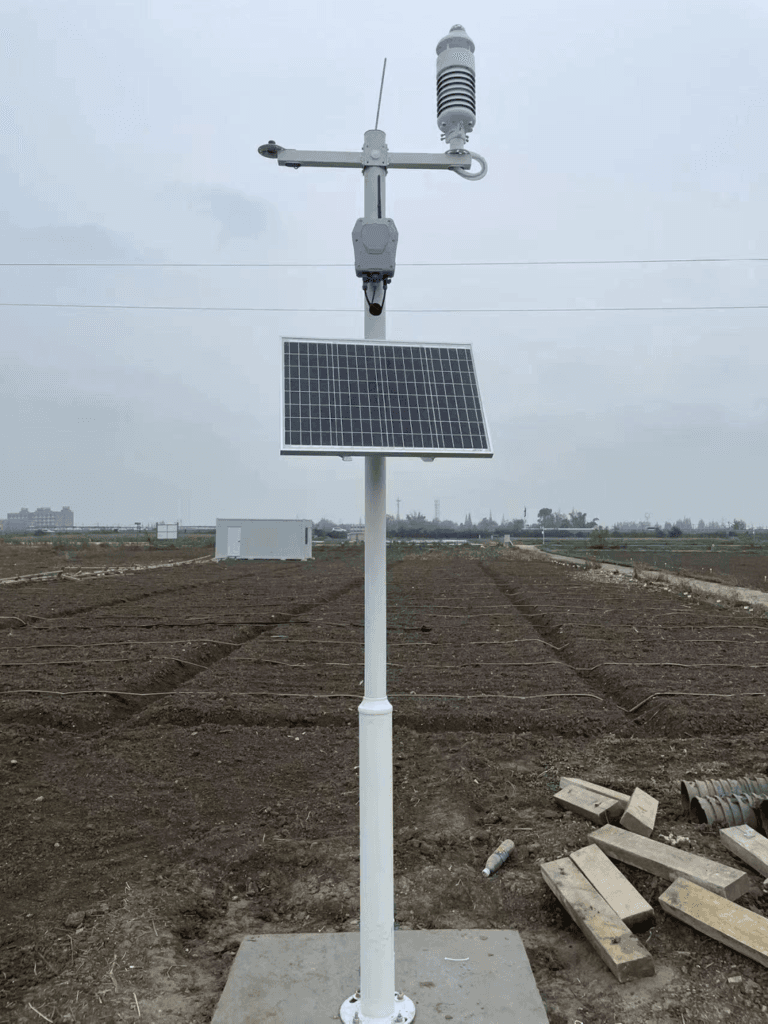 Rice Pest Disease Monitoring
