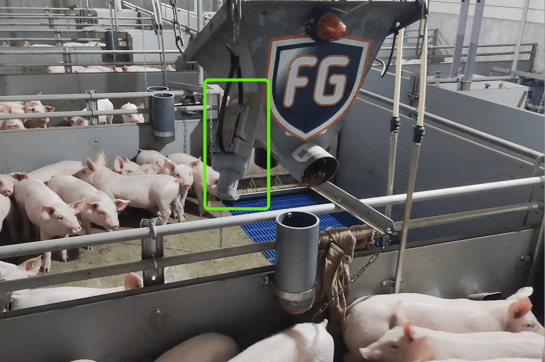 Pig Live Stream IoT Application