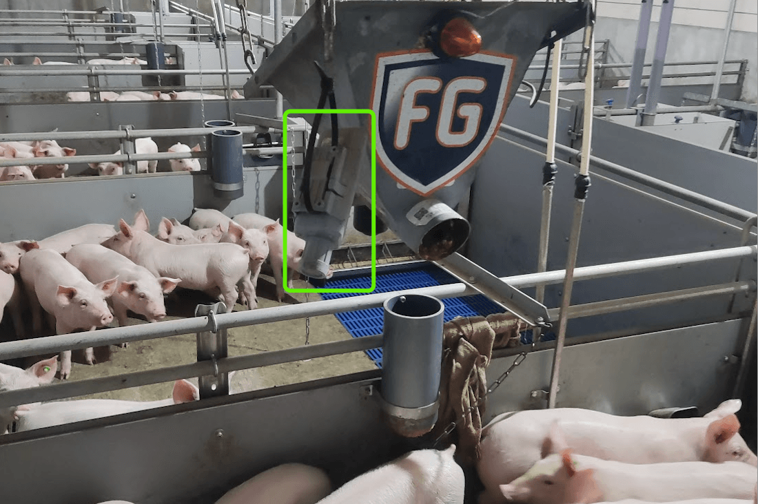 Pig Live Stream IoT Application